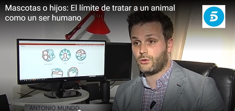 mascotas, psicología